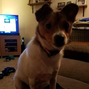 Meet your Posher, Shannom